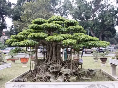 Tuy nhiên, giá trị thực của mỗi món ăn tinh thần ấy, phải được hưởng thụ bằng văn hóa mỗi người