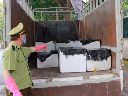 Xe tải chở gà lậu, nội tạng hôi thối bị công an phát hiện, tạm giữ