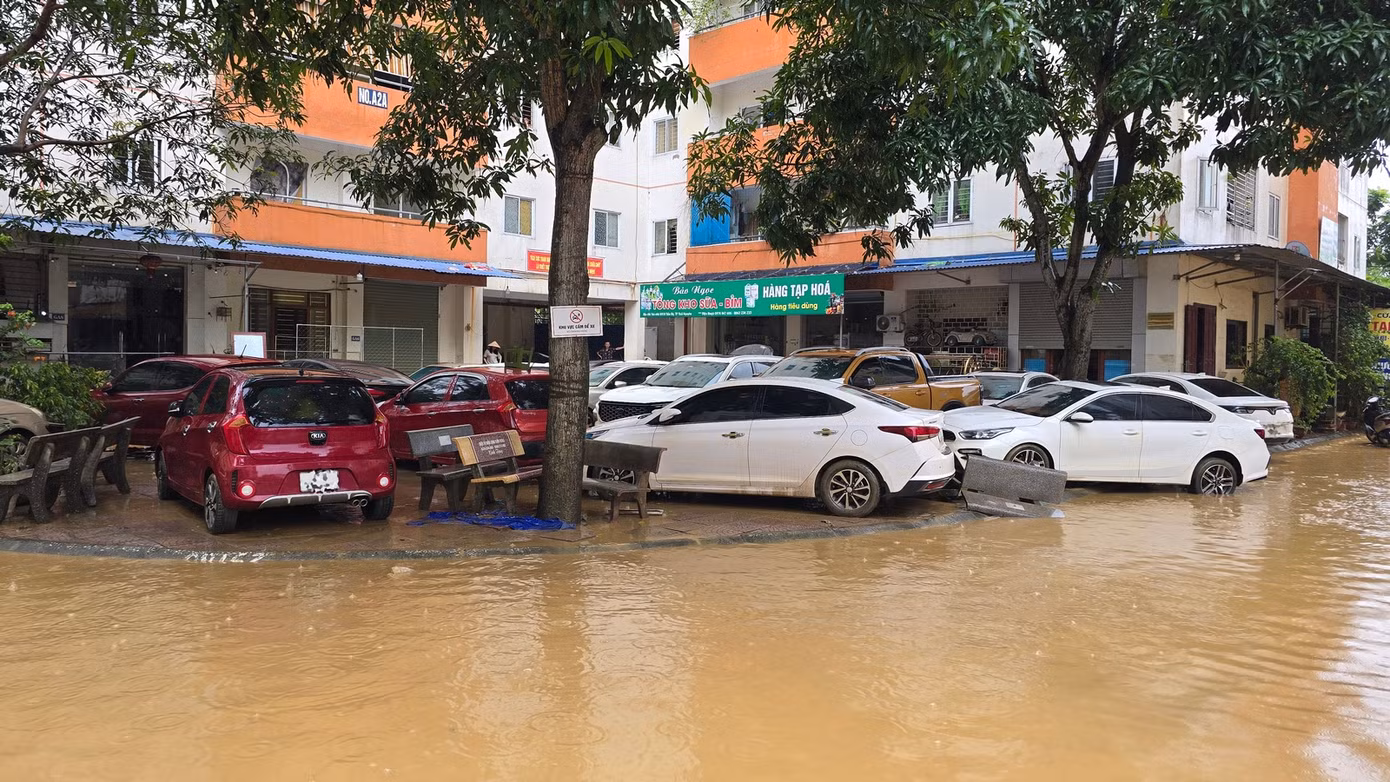 Do ngập nước lâu ngày, những chiếc xe này rất khó để xử lý, hoạt động trở lại. Ảnh: Hoàng Mạnh Thắng.