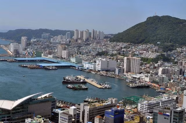 Busan từng là một đô thị cảng biển phát triển vượt bậc ở Hàn Quốc những năm 1960 -1970, tuy nhiên do sự phát triển quá ồ ạt, không định hướng ngành kinh tế mũi nhọn phù hợp nên Busan hiện tại đã tụt hậu, có sự tăng trưởng đứng thứ 2, từ dưới lên ở Hàn Quốc. Và "vết xe đổ" này của Busan chính là bài học đắt giá để Hải Phòng rút kinh nghiệm trong quá trình phát triển.