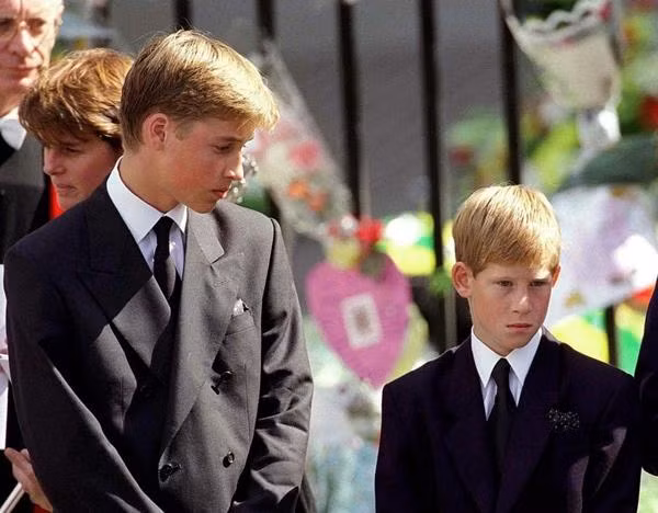Anh em William và Harry đều còn nhỏ khi mẹ mất. Ảnh: Anwar Hussein. Anh em William và Harry đều còn nhỏ khi mẹ mất. Ảnh: Anwar Hussein.