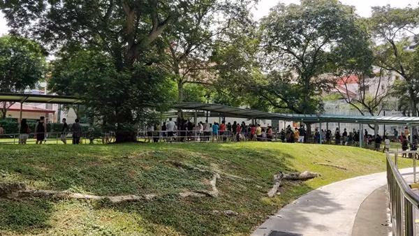 Cha mẹ ở Singapore cũng đứng đông đảo bên ngoài cổng trường để ngóng con. Ảnh: Twitter. Cha mẹ ở Singapore cũng đứng đông đảo bên ngoài cổng trường để ngóng con. Ảnh: Twitter.