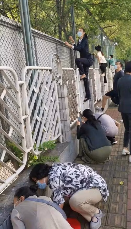 Mỗi người một cách để ngó con. Ảnh: 163. Mỗi người một cách để ngó con. Ảnh: 163.