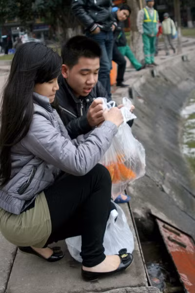 Nhiều bạn trẻ mang cá đi phóng sinh