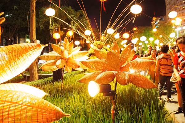 Chiếc đóa, biểu tượng trên đồng lúa Việt Nam