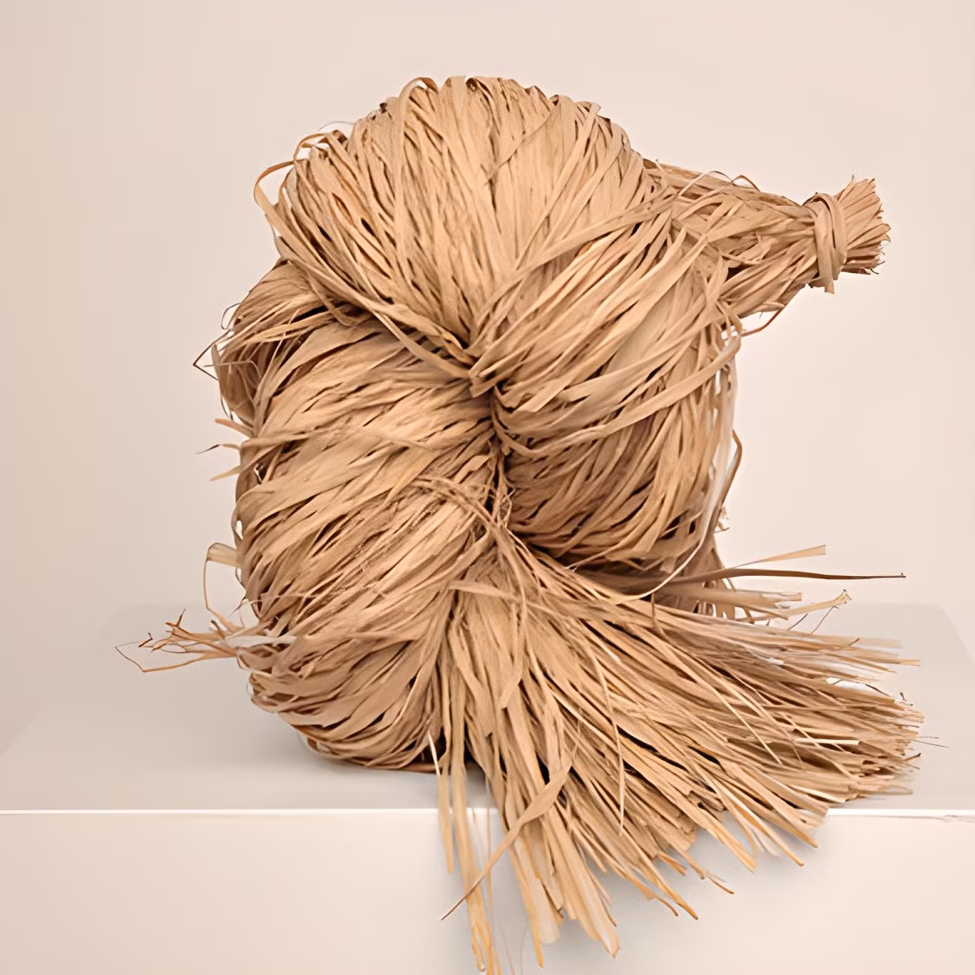 Chất liệu raffia được các thương hiệu thời trang sử dụng để chinh phục tính bền vững và góp phần bảo vệ môi trường. Chất liệu raffia được các thương hiệu thời trang sử dụng để chinh phục tính bền vững và góp phần bảo vệ môi trường.