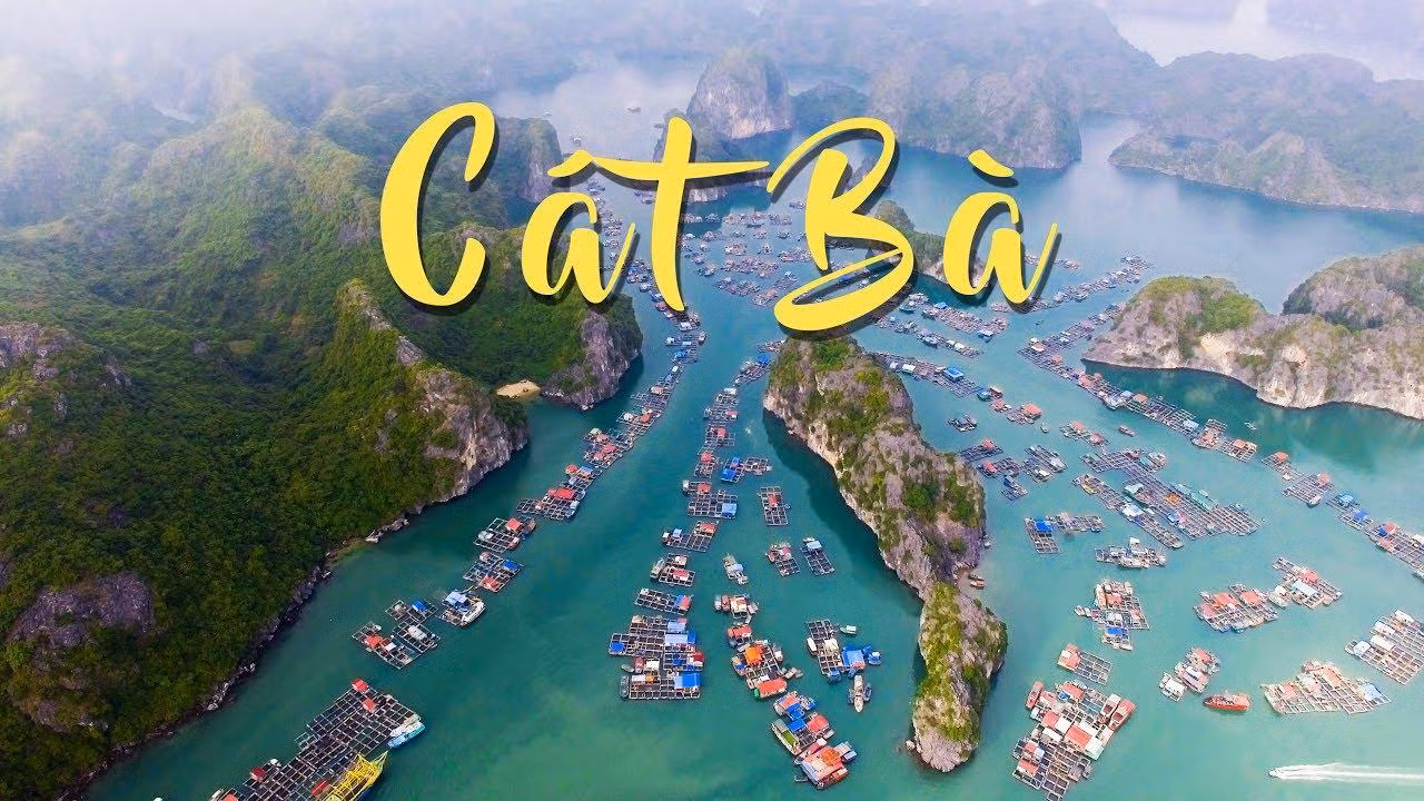Cơ hội ngắm toàn cảnh Đảo Cát Bà từ cáp treo.