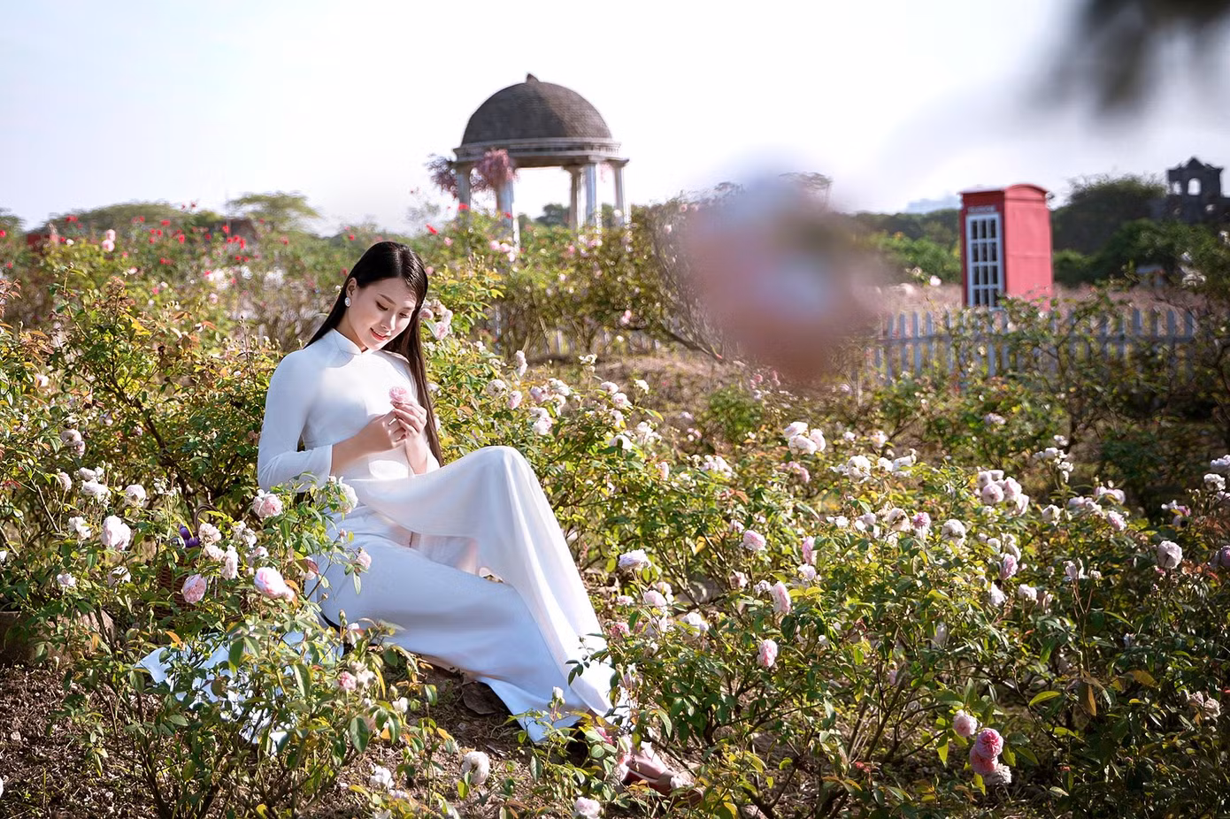 Các vườn hoa Hà Nội mùa lúc nào cũng nhộn nhịp và sôi động với hàng trăm lượt khách đổ về đây không chỉ để ngắm hoa mà còn để chụp những bộ ảnh thật đẹp. Nếu như mùa hè có vườn hoa cải, hoa hướng dương hay hoa bách nhật thì những ngày đầu xuân có hoa cúc cánh bướm.