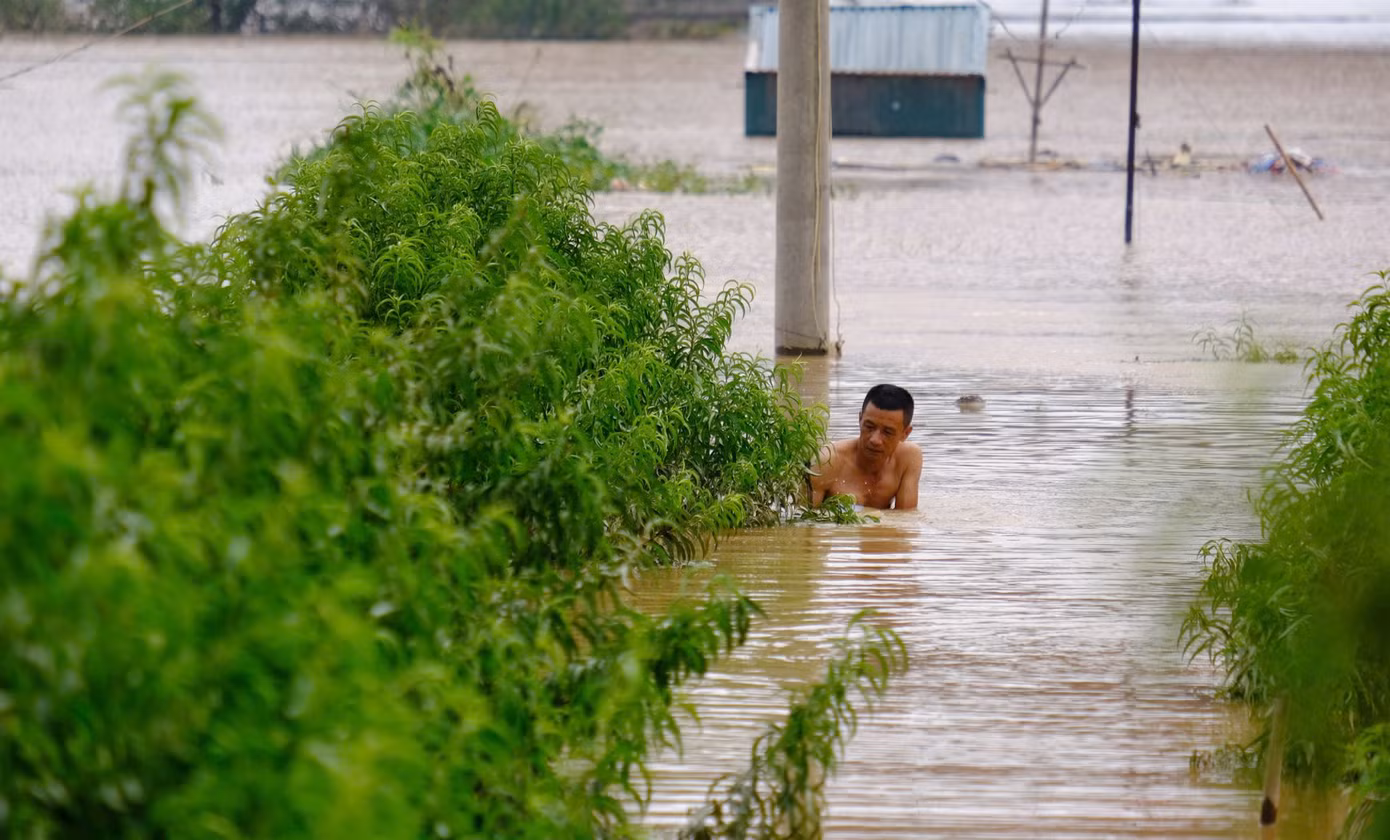 Một số người dân tranh thủ ra vườn xem xét lại tài sản hoa màu, chờ nước rút.