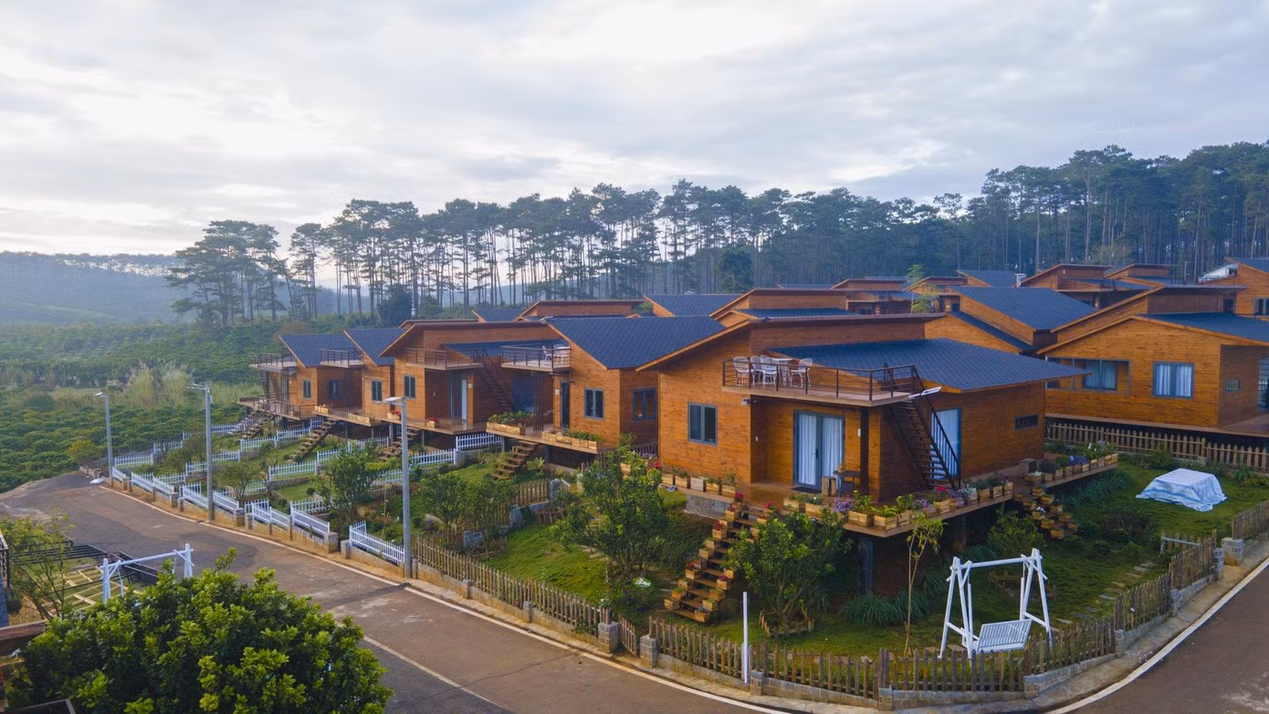 Nhiều bạn trẻ bị choáng ngợp bởi không gian xanh cũng như thời tiết của xứ ngàn hoa.