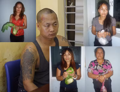 Băng nhóm vừa bị triệt phá. Băng nhóm vừa bị triệt phá