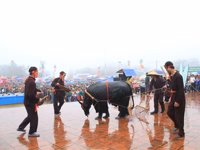 Dân làng diễn cảnh cày, bừa trên sân khấu