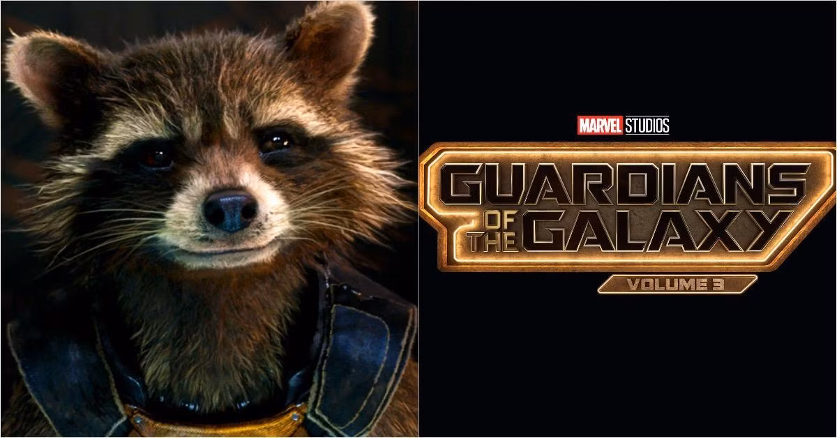 Khán giả chưa sẵn sàng chia tay Rocket đâu Marvel ơi! Khán giả chưa sẵn sàng chia tay Rocket đâu Marvel ơi!