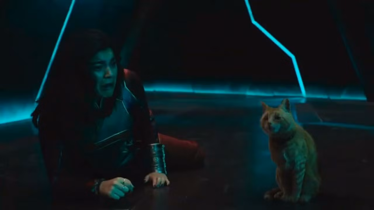 Chú flerken Goose từng cào mù một mắt Nick Fury đã trở lại và khiến Ms. Marvel sợ chết khiếp.
