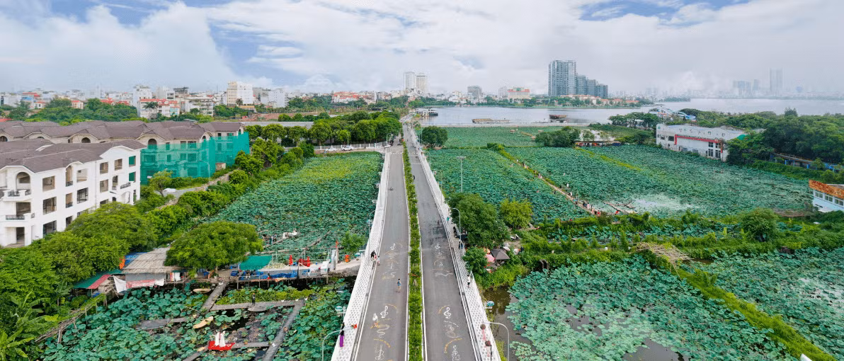 Khu vực hồ Sen - nơi sẽ được thu hồi, cải tạo làm hồ lắng dẫn nước. Ảnh: Quận Tây Hồ Khu vực hồ Sen - nơi sẽ được thu hồi, cải tạo làm hồ lắng dẫn nước. Ảnh: Quận Tây Hồ