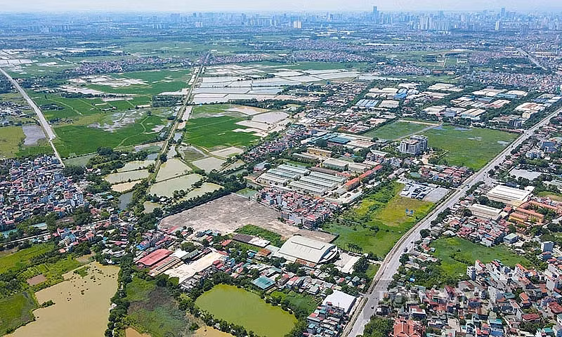 Ảnh minh họa Ảnh minh họa