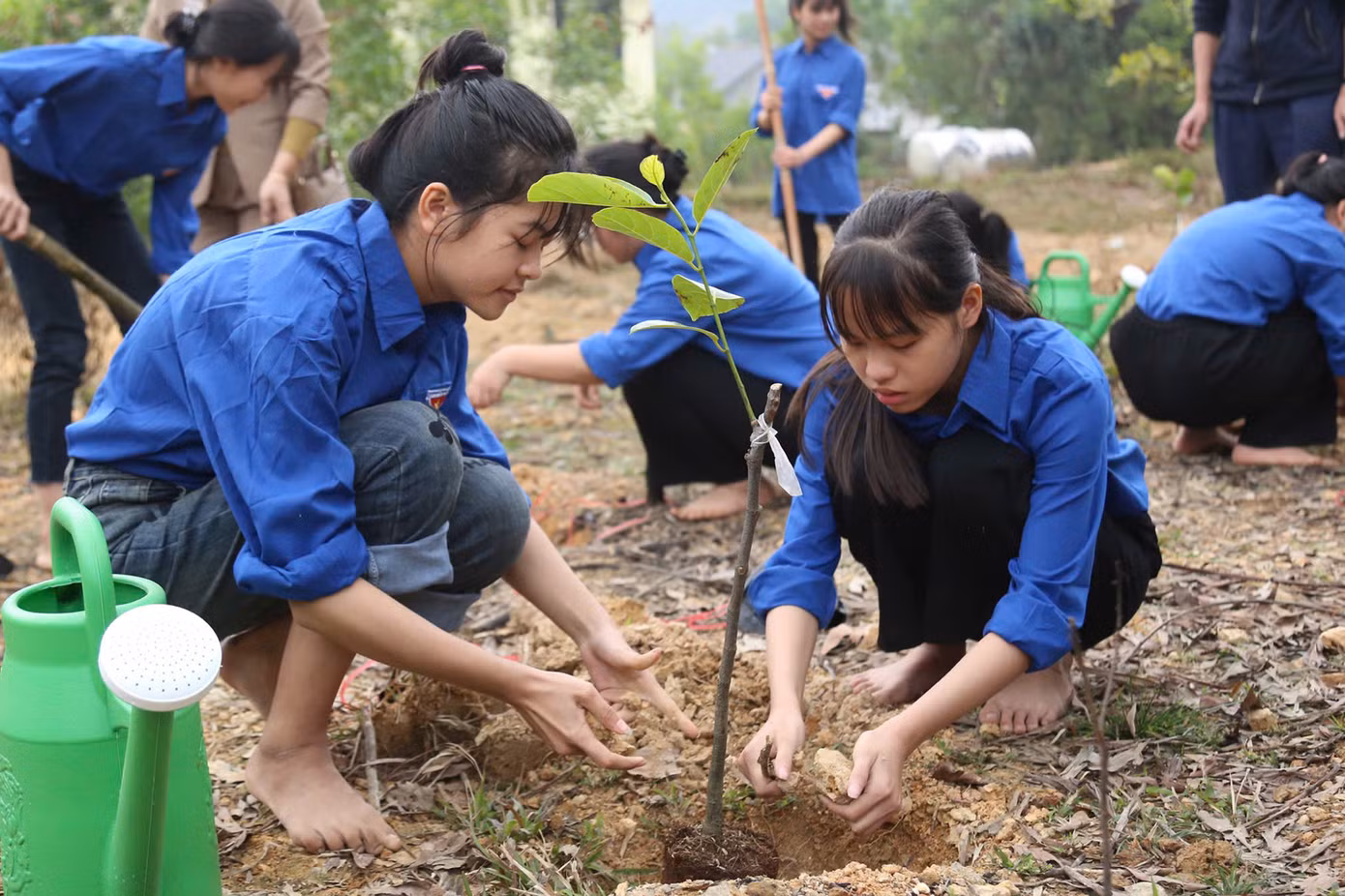 Tết trồng cây 2025: Lan tỏa màu xanh, chào mừng Đại hội Đảng XIV. Ảnh: ĐĂNG HẢI