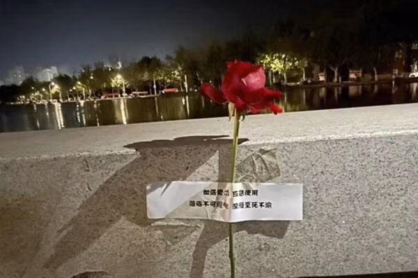 Hoa được đính ở những vị trí ngẫu nhiên trong sân trường. Ảnh: SCMP. Hoa được đính ở những vị trí ngẫu nhiên trong sân trường. Ảnh: SCMP.