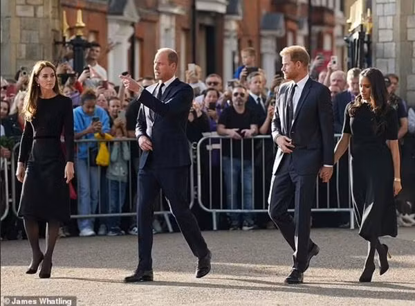 Meghan có vẻ hơi thiếu tự tin trong suốt buổi gặp gỡ. Ảnh: James Whatling. Meghan có vẻ hơi thiếu tự tin trong suốt buổi gặp gỡ. Ảnh: James Whatling.
