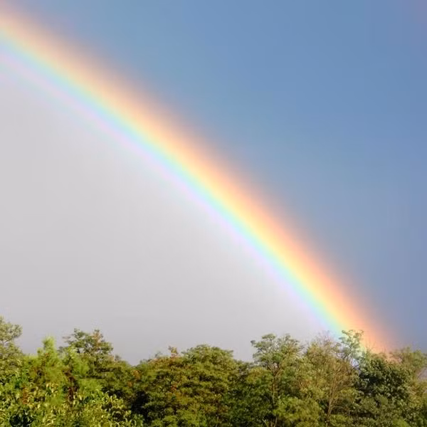 Hóa ra không phải lúc nào cầu vồng cũng có nhiều màu. Ảnh: Met Office.