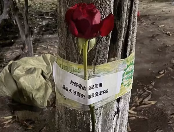 Hoa dành cho những người muốn thể hiện tình yêu. Ảnh: SCMP. Hoa dành cho những người muốn thể hiện tình yêu. Ảnh: SCMP.