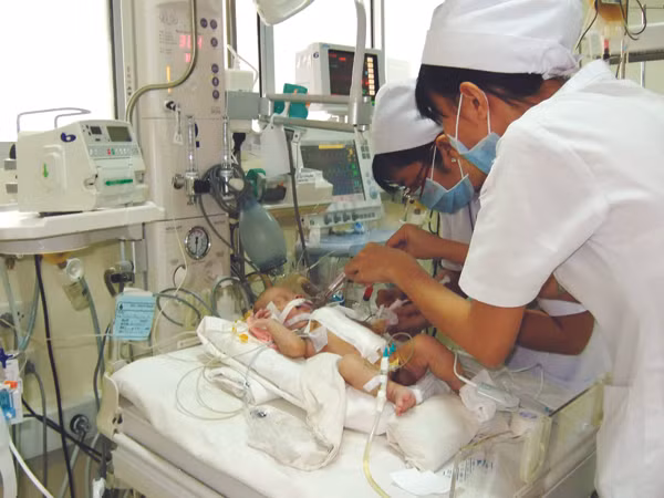 Các bác sĩ đều được dạy về lời thề Hippocrates. Ảnh: L.N