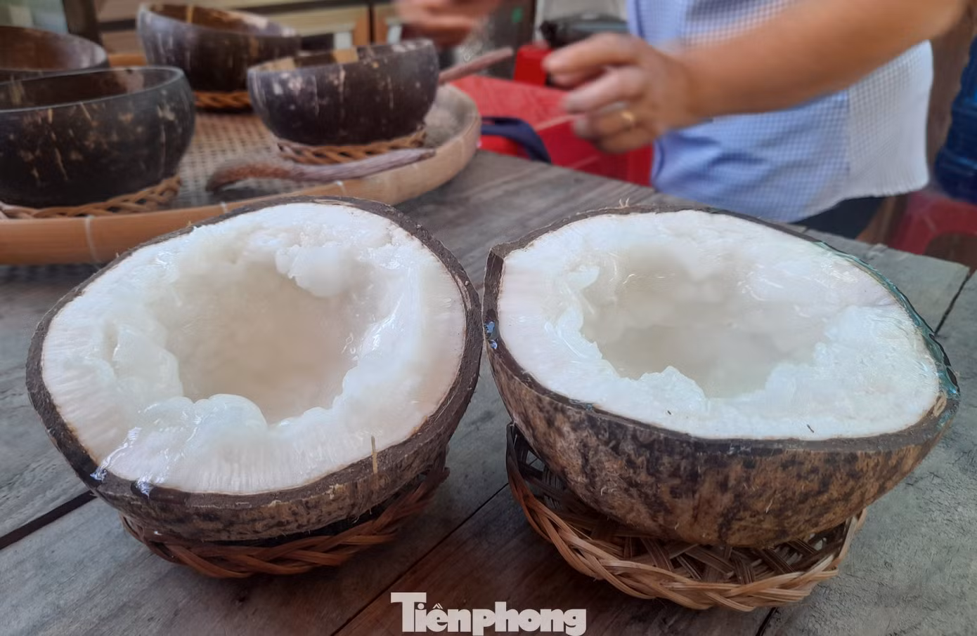 Quả dừa sáp trồng tại Trà Vinh, với phần cùi dày, xốp chiếm gần hết phần lõi.