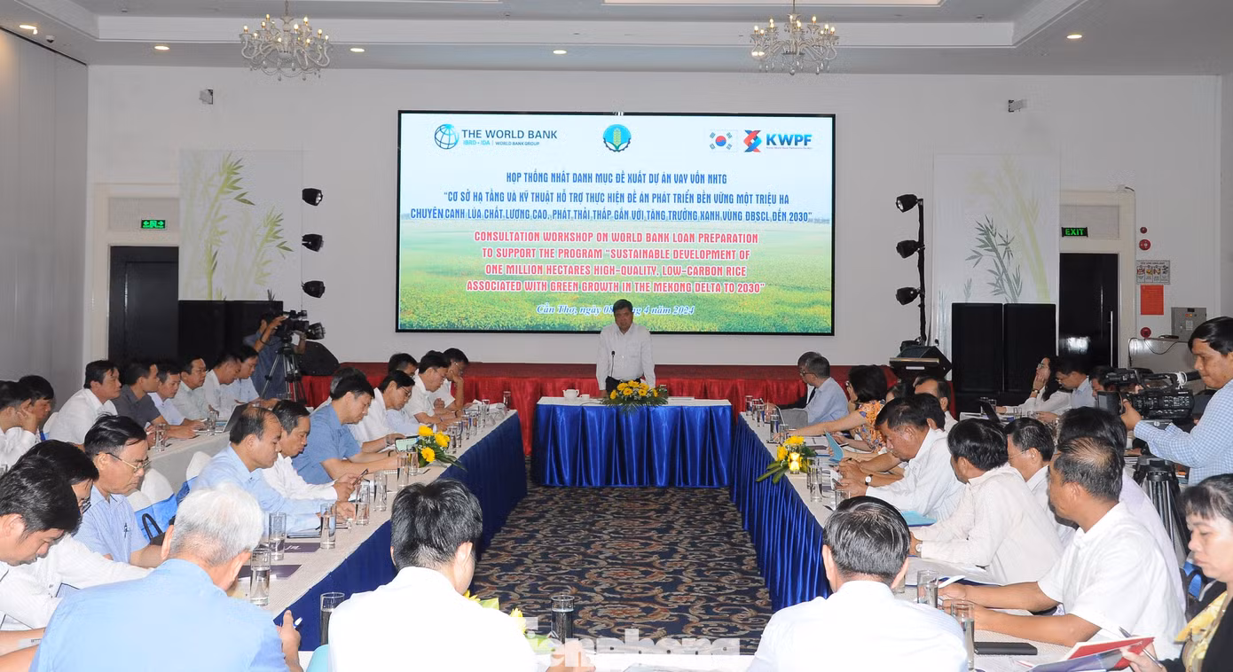 Quang cảnh cuộc họp. Ảnh: CK.