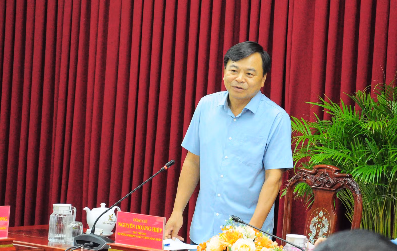 Thứ trưởng Nguyễn Hoàng Hiệp phát biểu tại cuộc họp. Ảnh: CK
