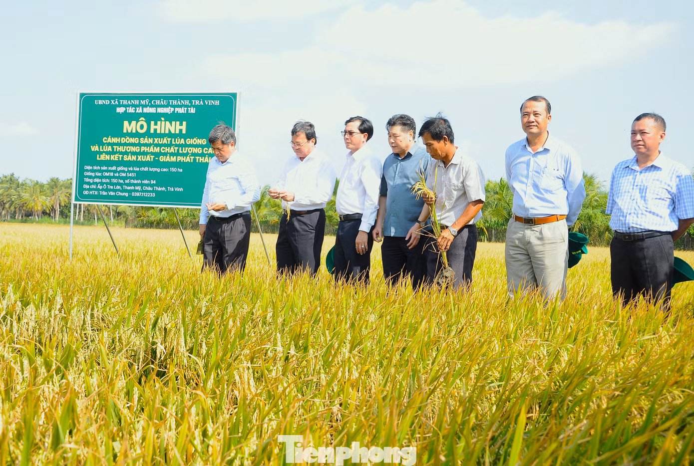 Việt Nam hướng tới hình thành 1 triệu ha lúa chất lượng cao, phát thải thấp tại ĐBSCL.