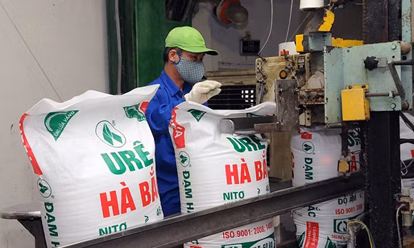 Nhiều doanh nghiệp phân bón lợi nhuận tăng bằng lần trong nửa đầu năm nay.