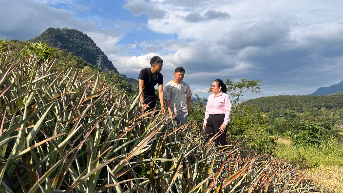 Thời gian đầu, người dân tại Na Sang được sự hỗ trợ vay vốn từ Ngân hàng Chính sách xã hội. Thời gian đầu, người dân tại Na Sang được sự hỗ trợ vay vốn từ Ngân hàng Chính sách xã hội.