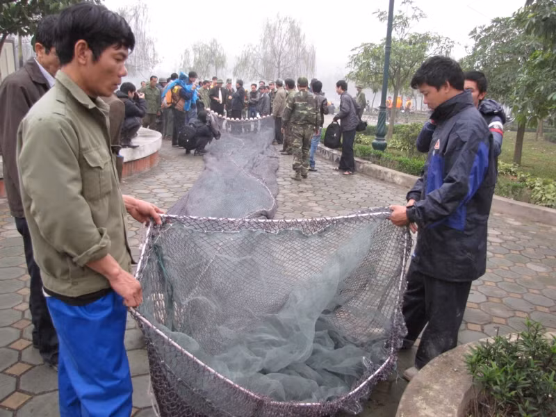 Túi lưới dài 20m