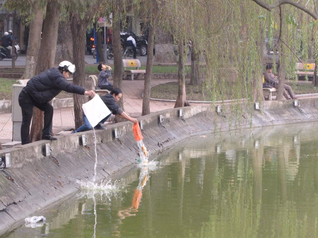 Trong đó có Hồ Gươm 