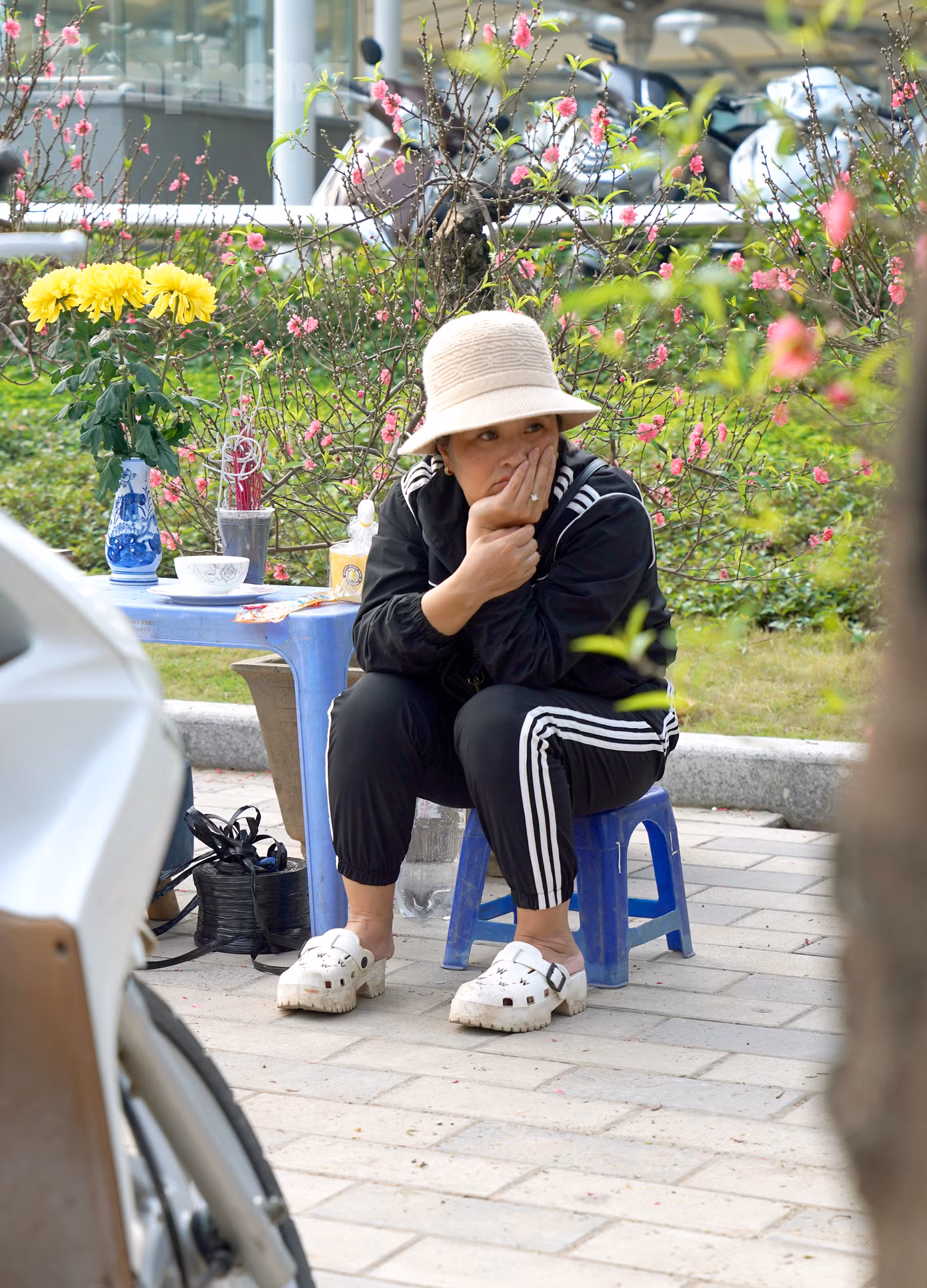Tiểu thương khá lo âu cho hay: "Tuy vắng nguời mua nhưng tôi và nhiều thương lái khác chắc chắn sẽ không hạ giá, bởi chi phí nhập và vận chuyển cũng rất cao rồi. Cũng không thể thành tiền lệ để tới năm sau biết bán cho ai". Tiểu thương khá lo âu cho hay: "Tuy vắng nguời mua nhưng tôi và nhiều thương lái khác chắc chắn sẽ không hạ giá, bởi chi phí nhập và vận chuyển cũng rất cao rồi. Cũng không thể thành tiền lệ để tới năm sau biết bán cho ai".