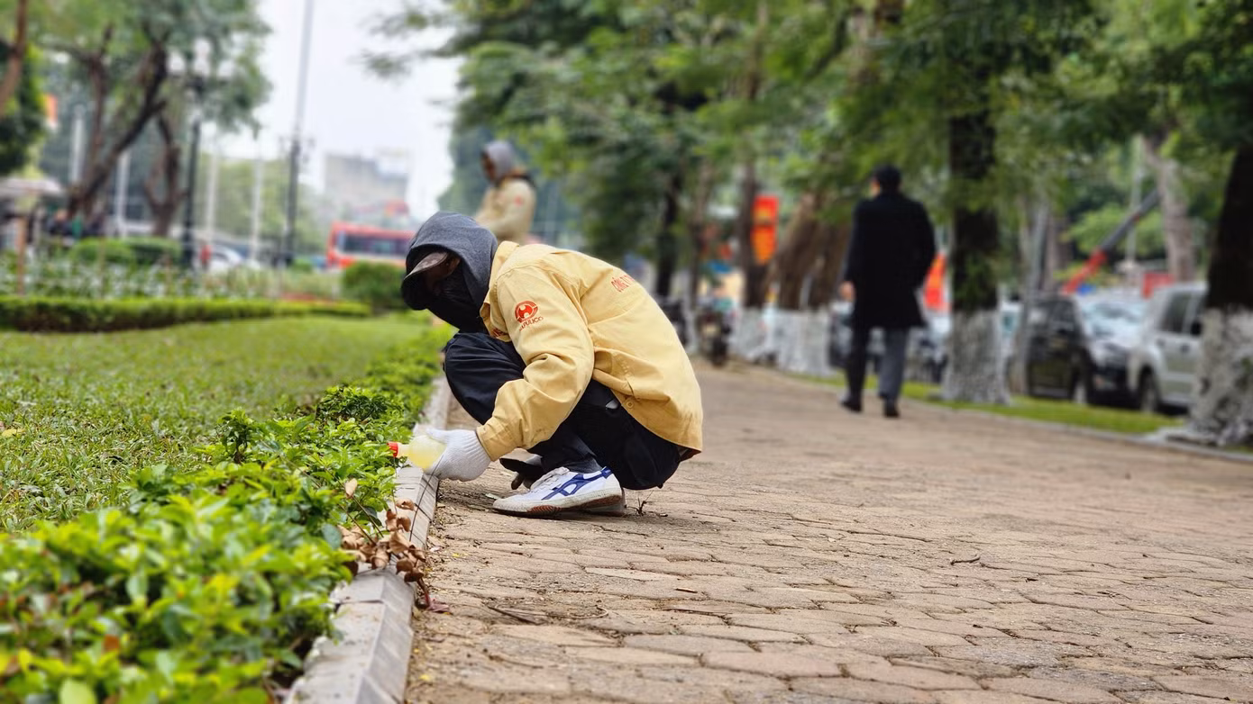 Kiểm tra đảm bảo khuôn viên chiếu sáng rực rỡ cho nhân dân đi dạo.