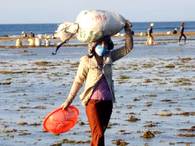 Chiều, đội rau trên đầu về nhà 