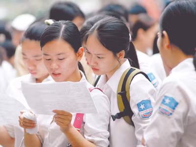 Chương trình căn bản 10, 11 hay 12 năm?. Ảnh: Hồng Vĩnh