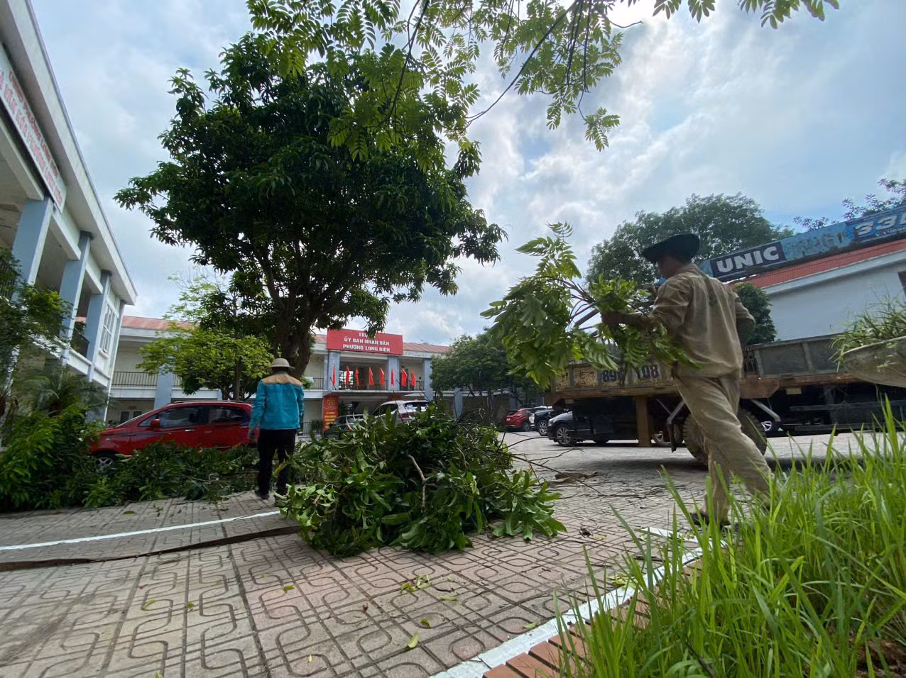 Sáng 24/6, nhiều nhân công tiến hành dọn dẹp, cắt tỉa cây, sơn lại tường Trụ sở phường Long Biên - nơi sắp tới sẽ là Trụ sở Đảng ủy, MTTQ, các tổ chức chính trị - xã hội phường Long Biên sau sáp nhập. Phường Long Biên mới được thành lập trên cơ sở nhập phần lớn diện tích tự nhiên và dân số của các phường: Phúc Đồng, Long Biên, Thạch Bàn, Cự Khối (thuộc quận Long Biên); một phần diện tích tự nhiên và dân số của phường Bồ Đề, xã Bát Tràng (thuộc huyện Gia Lâm); một phần diện tích tự nhiên Gia Thụy (thuộc quận Long Biên). Trụ sở HĐND - UBND phường Long Biên mới sẽ được đặt tại trụ sở Đảng ủy, UBND, UBMTTQ phường Thạch Bàn hiện nay. Sáng 24/6, nhiều nhân công tiến hành dọn dẹp, cắt tỉa cây, sơn lại tường Trụ sở phường Long Biên - nơi sắp tới sẽ là Trụ sở Đảng ủy, MTTQ, các tổ chức chính trị - xã hội phường Long Biên sau sáp nhập. Phường Long Biên mới được thành lập trên cơ sở nhập phần lớn diện tích tự nhiên và dân số của các phường: Phúc Đồng, Long Biên, Thạch Bàn, Cự Khối (thuộc quận Long Biên); một phần diện tích tự nhiên và dân số của phường Bồ Đề, xã Bát Tràng (thuộc huyện Gia Lâm); một phần diện tích tự nhiên Gia Thụy (thuộc quận Long Biên). Trụ sở HĐND - UBND phường Long Biên mới sẽ được đặt tại trụ sở Đảng ủy, UBND, UBMTTQ phường Thạch Bàn hiện nay.