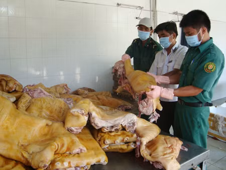 Số thịt bẩn này nếu được hóa phép sẽ thành đặc sản ở các quán nhậu. Ảnh: Lê Nguyễn. Số thịt bẩn này nếu được hóa phép sẽ thành đặc sản ở các quán nhậu. Ảnh: Lê Nguyễn