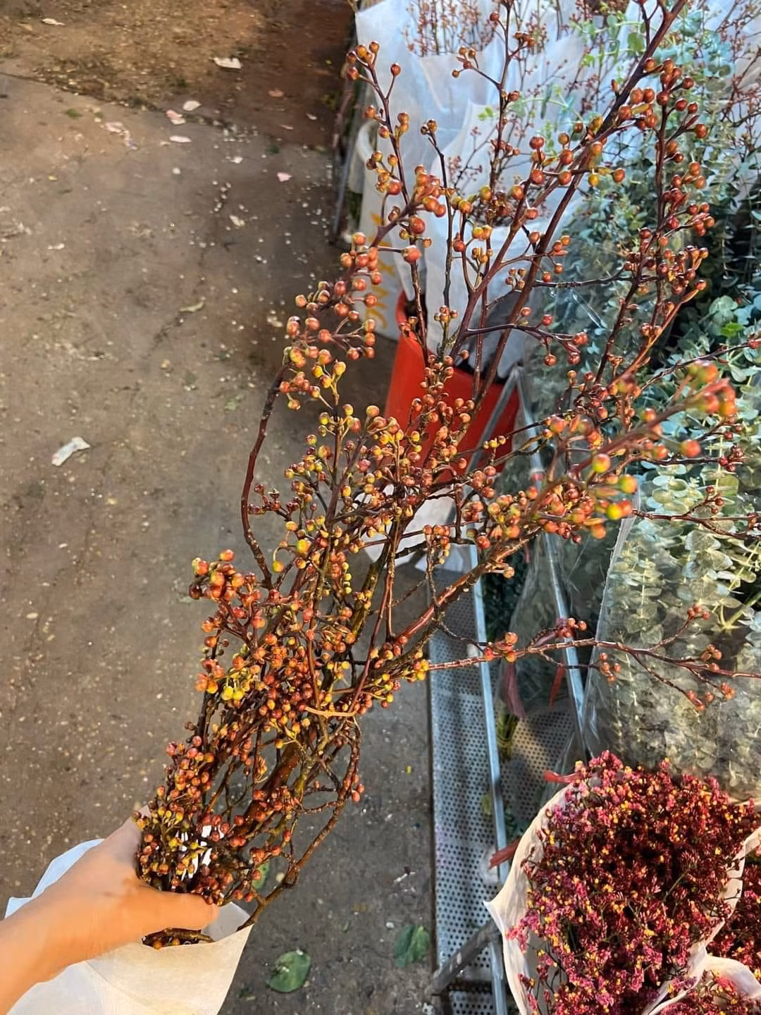 Đào hoa vàng chi chít nụ, khi căm vào nước sẽ nở ra những bông hoa đào màu vàng với mật độ dày trên cành (Ảnh: nongthonviet) Đào hoa vàng chi chít nụ, khi căm vào nước sẽ nở ra những bông hoa đào màu vàng với mật độ dày trên cành (Ảnh: nongthonviet)