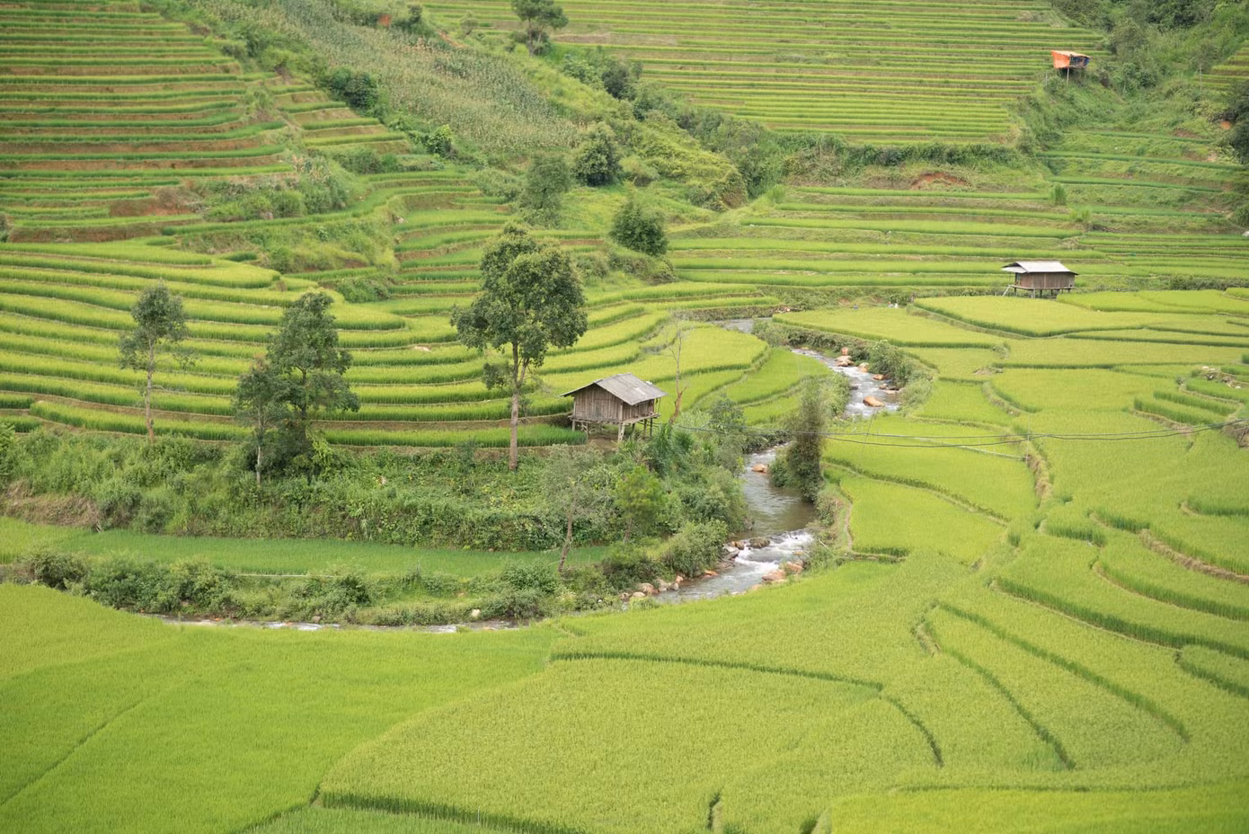 "Quan trọng hơn cả đó là chuẩn bị tinh thần sẵn sàng, đừng lo lắng, đừng sợ hãi, thay vào đó là tâm lý vững vàng, nhưng tôi nghĩ là bất cứ ai khi bắt đầu cũng đều không lo lắng mà thay vào đó là sự háo hức, mong chờ khám phá những mảnh đất mới", cô gái 9x nói. "Quan trọng hơn cả đó là chuẩn bị tinh thần sẵn sàng, đừng lo lắng, đừng sợ hãi, thay vào đó là tâm lý vững vàng, nhưng tôi nghĩ là bất cứ ai khi bắt đầu cũng đều không lo lắng mà thay vào đó là sự háo hức, mong chờ khám phá những mảnh đất mới", cô gái 9x nói.