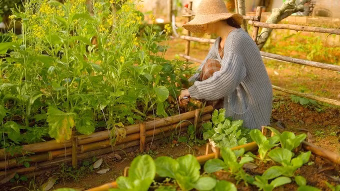 Thực tế để có cuộc sống ổn định tại quê nhà, nhiều khó khăn cũng đã được đặt ra (Ảnh minh họa). Thực tế để có cuộc sống ổn định tại quê nhà, nhiều khó khăn cũng đã được đặt ra (Ảnh minh họa).