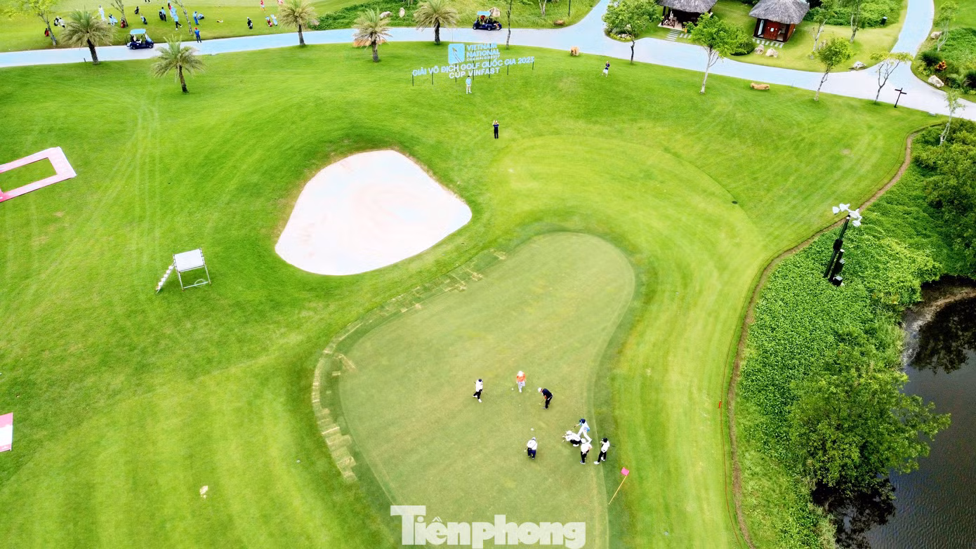 Điều tuyệt vời nhất là tình trạng mặt cỏ tuyệt hảo của Vinpearl Golf Hải Phòng, kết hợp với khung cảnh nên thơ và thời tiết dịu mát.