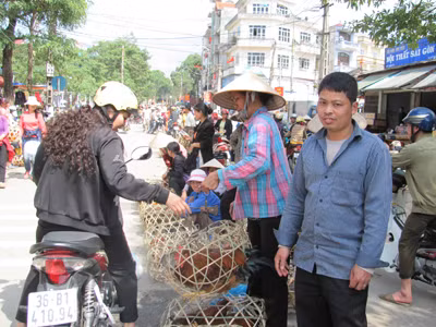 Ở chợ thành phố Lạng Sơn, không rõ đâu là gà ta, đâu là gà lậu ảnh: Duy Chiến