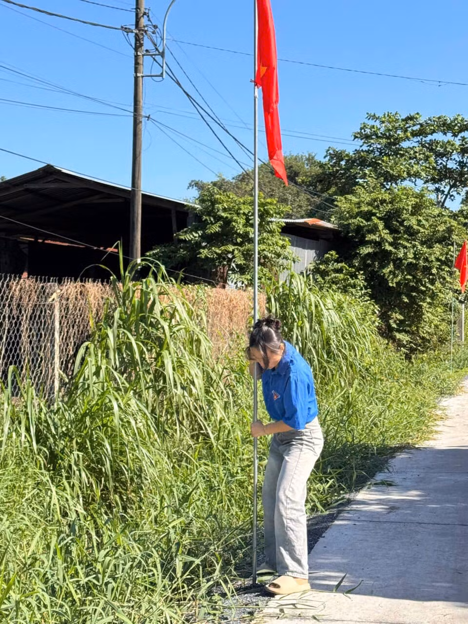 Công trình có tổng chiều dài 600 mét với 70 trụ cờ Tổ quốc và trồng 100 cây chuông vàng. Tổng kinh phí vận động 16 triệu đồng. Ảnh: Đoàn - Hội xã Tân An Hội