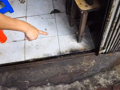 Thời gian gần đây, các loại 