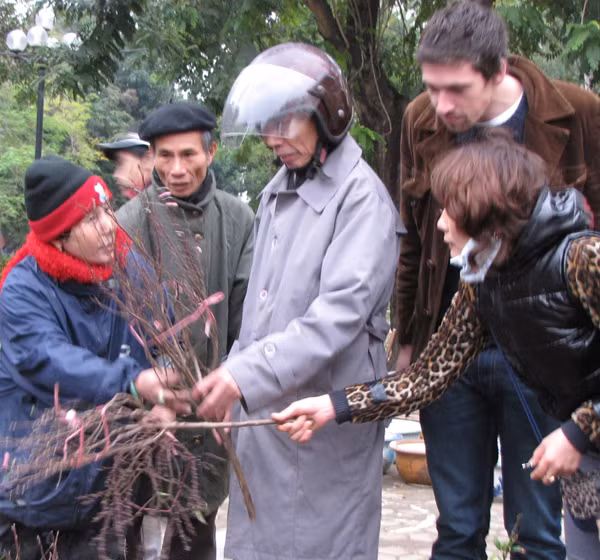 Một người nước ngoài hứng thú với việc mua bán đào ...