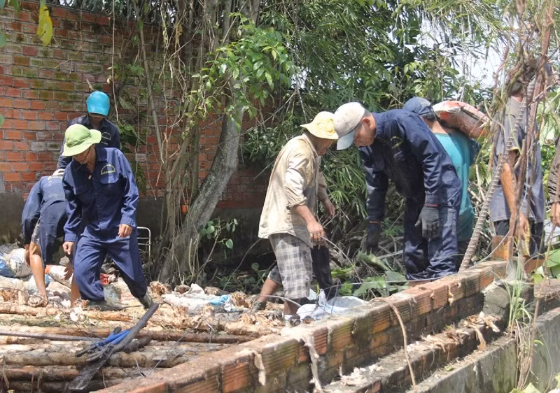 Bao cát và cừ tràm được dùng để gia cố bờ bao