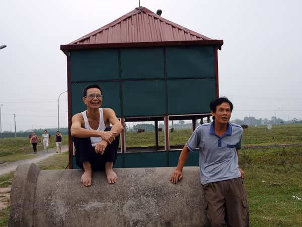 Khu đô thi trở về với các bác nông dân làm chỗ chăn trâu, bò